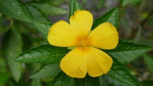 G3ac74b2a64b10b2731f7089e406e311144e7a3474545e4283d064d5e107608b036887beaa24850bbf38b753fa9235d5fec73e4627785c13b632d3eef6251b1d8 640