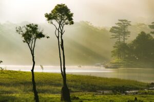 G40d0e1e3d8bff1de839d5daee5647a5a979f476a8081817e565287902d4cf16dbb916762524fb4646f96a2fc9a678169ebc93d28714197986374ea6ede3cb67e 640